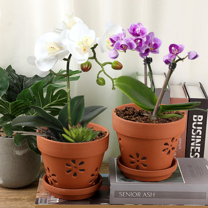 JUXYES Pack of 3 Small Terracotta Orchid Pot with Holes and Saucers, 6 Inches Clay Orchid Planter Pots for Repotting, Plant Flower Pots for Orchid Indoor and Outdoor Promotes Air Circulation