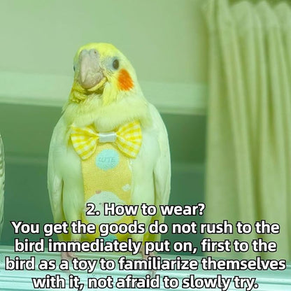 Bird Diaper Protective Parrot Nappy - 4 Pack, Reusable Flight Suit with Waterproof Inner Layer, Adjustable Shoulder Straps, Washable Cute Urine Wet Suit for Parakeet Conure (2XL)