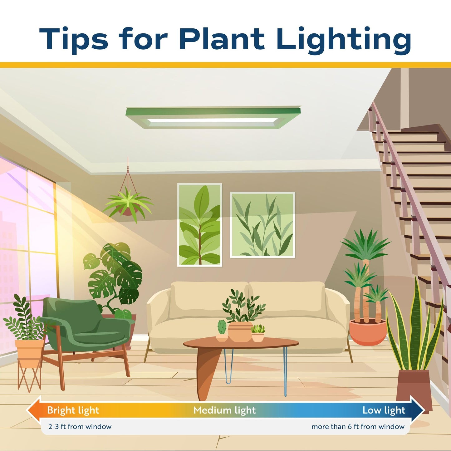 Costa Farms Pink Princess Philodendron, Live Indoor Plant, Rare Unique Houseplant Potted in Indoors Garden Plant Pot, Living Room Home Decor, Trending Tropicals Collection, 1 Foot Tall