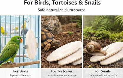 Birds LOVE 5.5-6″ Cuttlebone for Birds – 100% Natural Sun-Dried Calcium & Beak Conditioning Supplement for Parakeets, Budgies, Cockatiels, Finches & Canaries – 2 Pack with Holder – Made in Vietnam