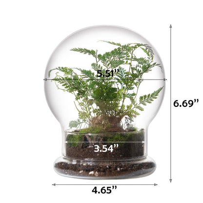 WHJY Round Glass Cloche for Indoor Plants Small Terrarium Glass Cloche with Base Mini Cloche Dome with Base for Display Home Decor