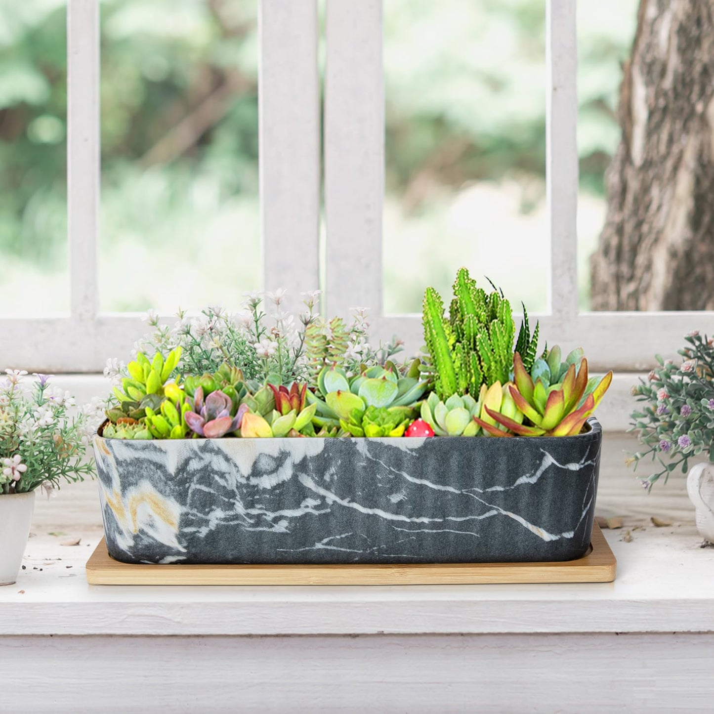 Succulent Pots - 12'' Large Succulent Planters with Drainage Tray Set of 2, Window Sill Planter, Long Rectangle Ceramic Pots for Indoor Cactus Plants Shallow Bonsai Window Box for Home Garden Decor