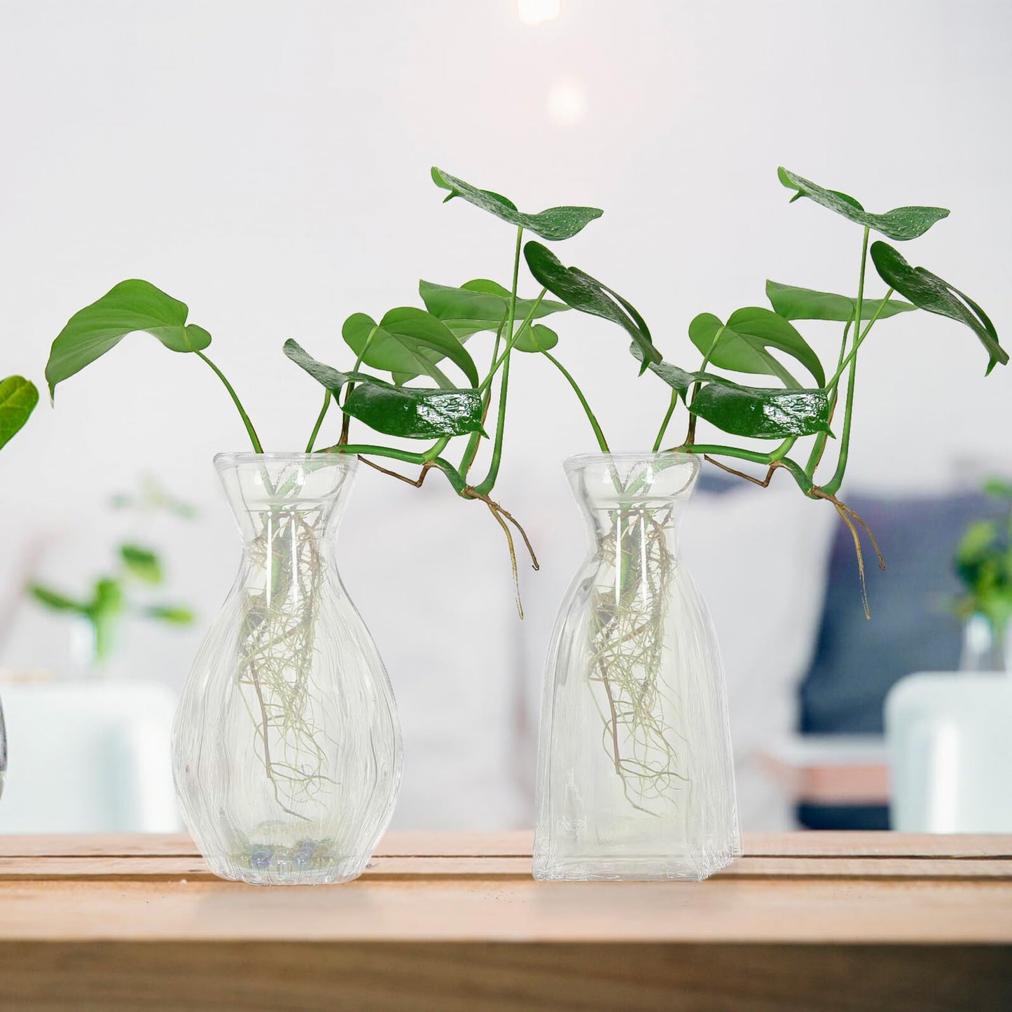 SUPVOX 4pcs Small Glass Hydroponic Vases Decorative Desk Flower Vases for Table Centerpieces Home Décor Glass Plant Terrarium Bottles