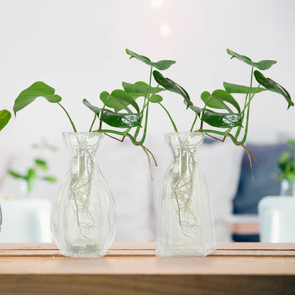 SUPVOX 4pcs Small Glass Hydroponic Vases Decorative Desk Flower Vases for Table Centerpieces Home Décor Glass Plant Terrarium Bottles
