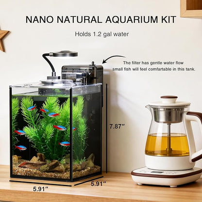 1.2 Gallon Betta Fish Tank, Small Aquarium Kit,Glass Small Fish Tank,Betta Fish Tank with a lid and Light and Filter, Small Transparent Glass Fish Tank with Light and Filter(Black Glass Background)