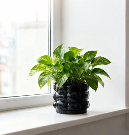 FUYHE 5.8 inch Ceramic Plant Pots with Drainage Hole,Modern Flower Pots for Indoor Plants,Black Ceramic Pots for Succulents, Home & Office Décor (Black)
