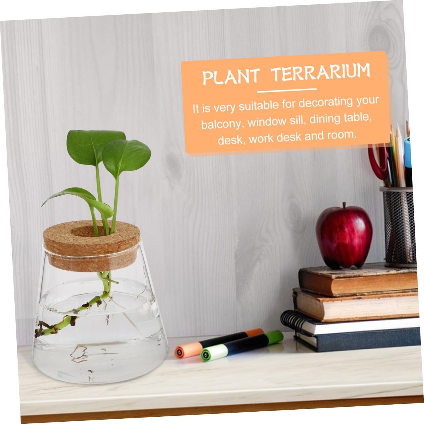 Cabilock 2Pcs Glass Terrarium Vases for Hydroponic Plants Stylish Desktop Planter for Home Office Decor Design for Floral Arrangements Present Ideas Opening