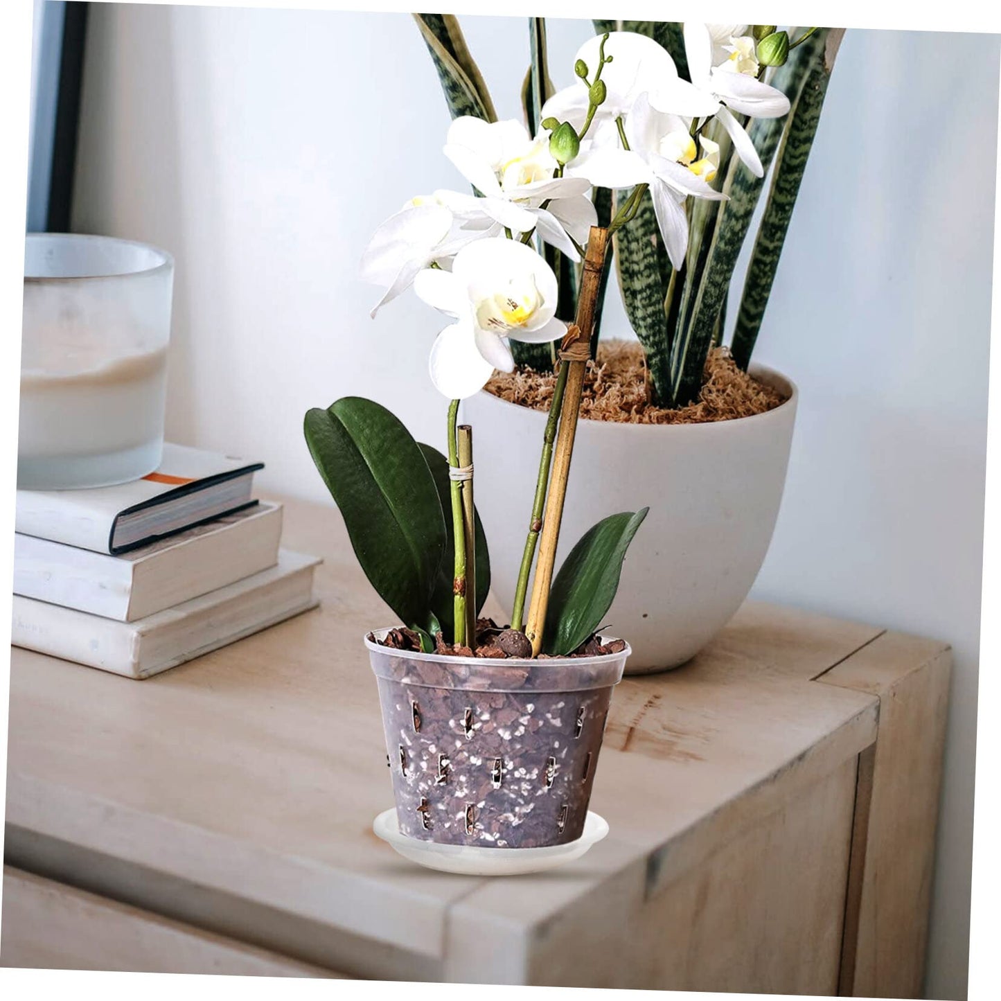 YARNOW 1 Set Phalaenopsis Hard Planting Cup Flower Pots Indoor Pots for Succulents Green Decor Orchid with Holes 8 Inch Slotted Orchids Planter Flower Plant Container Plant Cups Food