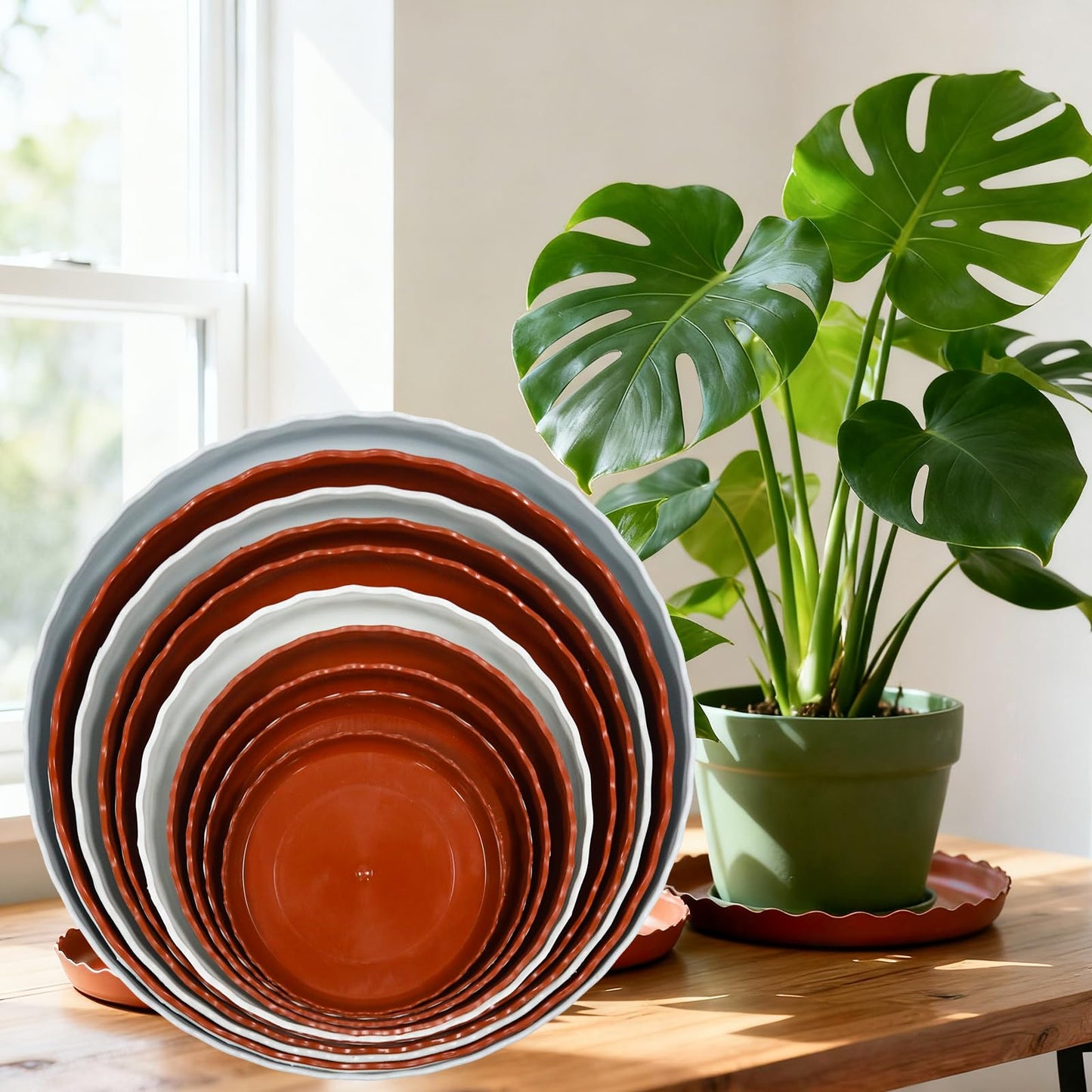 JAKOUE 4 Size Wave Shaped Round Plant Saucer,6 Pack Pant Pot Trays, Plant Saucers for Indoors and Outdoors, Seed Starting Tray, Growing Trays,Terracotta（4",5",6",8"）