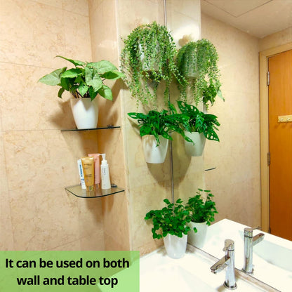 LalaGreen Bundle - 4 Inch, 10 Pack Self Watering White Plastic Pot + 2 Pack Wooden Plant Holder Wooden Hanging Planter, Plant Stand, Air Plant Succulent Holder, Outdoor Vertical Garden