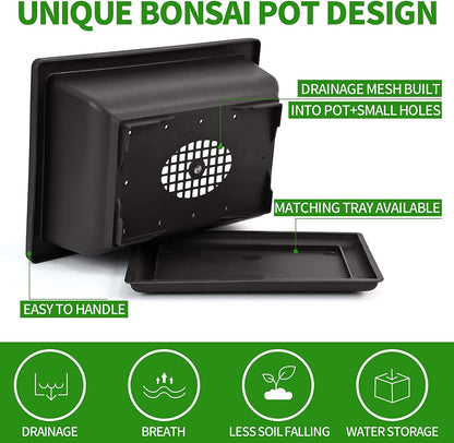Meekear 5 Bonsai Tree Kit Complete Plant Growing Tools, Grow in Pot Indoor Bonsai Tree Starter Kit, Great Home Gardening Potted Plants DIY Gift for Adults