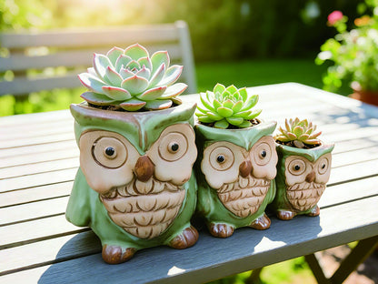 Giafiny Cute Owl Planter, Small Funny Succulent Pots, Unique Decorative Animal Statue Ceramics Plant Pot for Indoor/Outdoor Home Office with Drainage, Owl Gifts for Women Mother Teacher, Three Owls