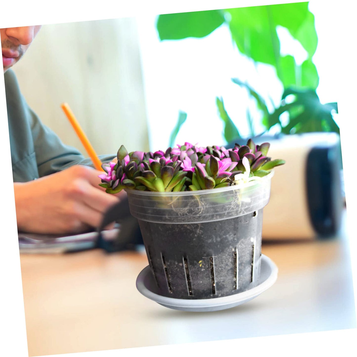 YARNOW 1 Set Phalaenopsis Hard Planting Cup Flower Pots Indoor Pots for Succulents Green Decor Orchid with Holes 8 Inch Slotted Orchids Planter Flower Plant Container Plant Cups Food