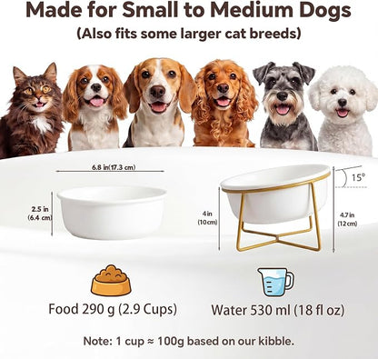 White Large Ceramic Tilted Elevated Cat Dog Bowl Raised Cat Food Water Bowl Dish Pet Comfort Feeding Bowls with Gold Iron Stand