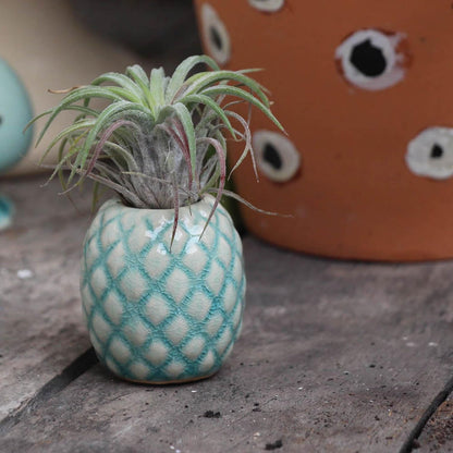 SCSFCVIUS Air Plant Holder Ceramic Planter - 4pcs Ceramic Cute Pineapple Air Plant Planter Tillandsia Airplants Table Countertop Holders (4 Pineapple)