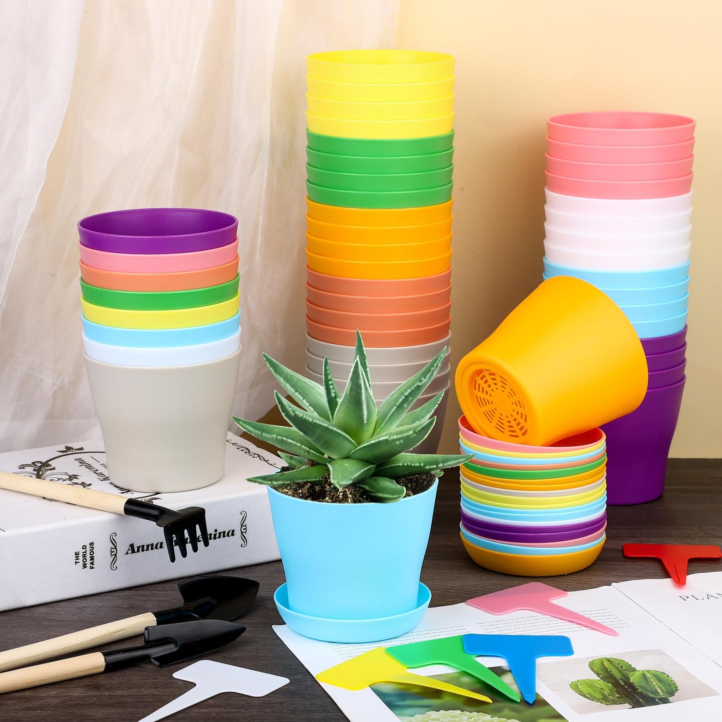 Hahood 48 Pack Plastic Planters 4 Inch Flower Plant Pots Indoor Set Thickened Seedling Nursery Pots Seed Starting Pots with Drainage Holes Saucers, Mini Garden Tools for Home Office Garden, Multicolor