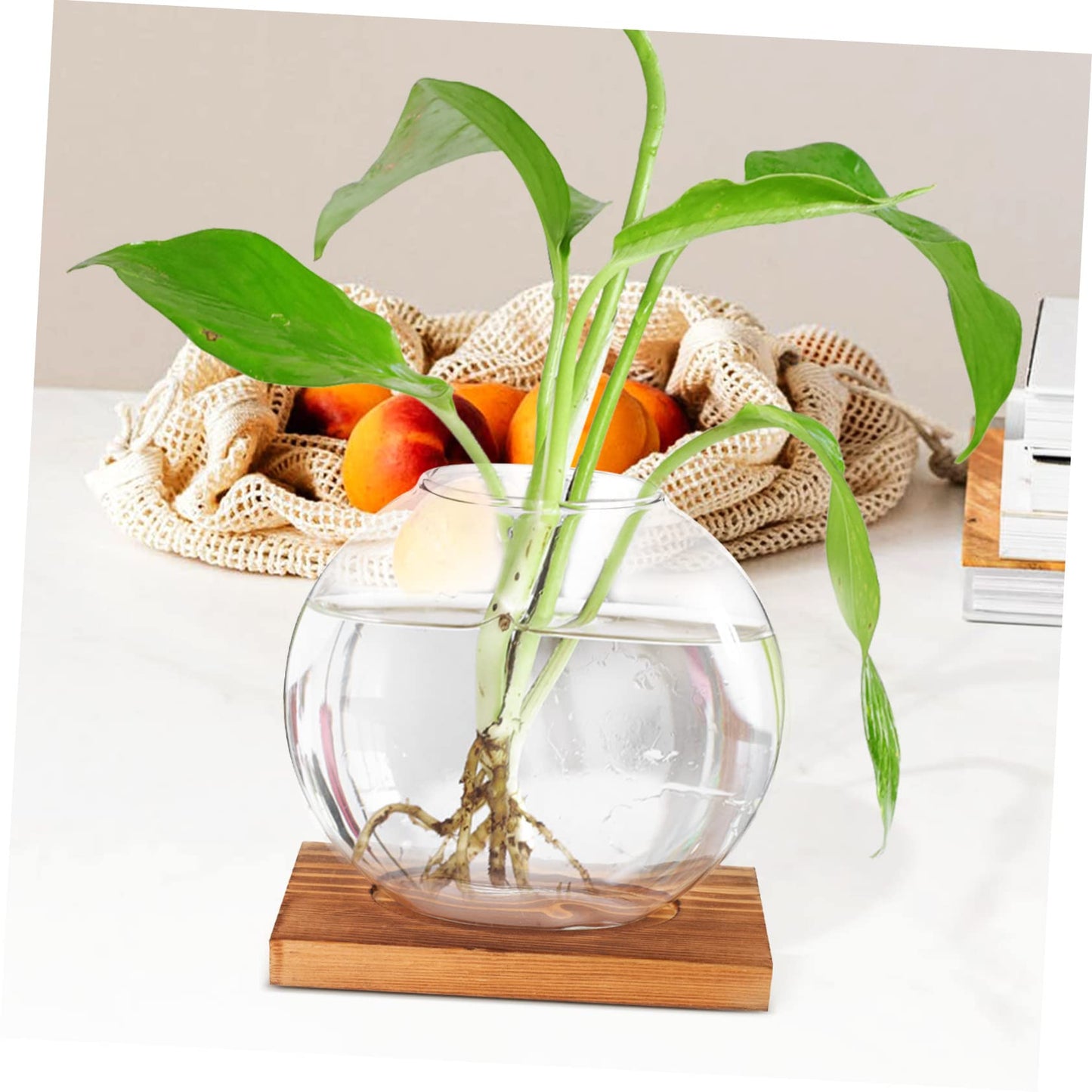 ABOOFAN Hydroponic Plant Vase with Base Glass Propagation Bottle for Desktop Decoration Transparent Terrarium Planter for Home Office Wedding Modern Tabletop Adornment