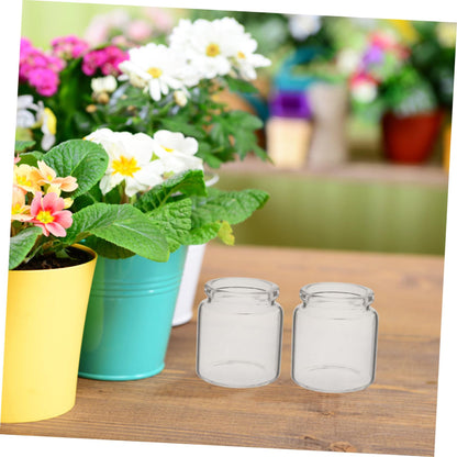 ANDRESLAD 10pcs Miniature Glass Bottles for Succulents Test Tube Vases for Micro Landscape Terrariums for Plant Propagation and Decorative Displays