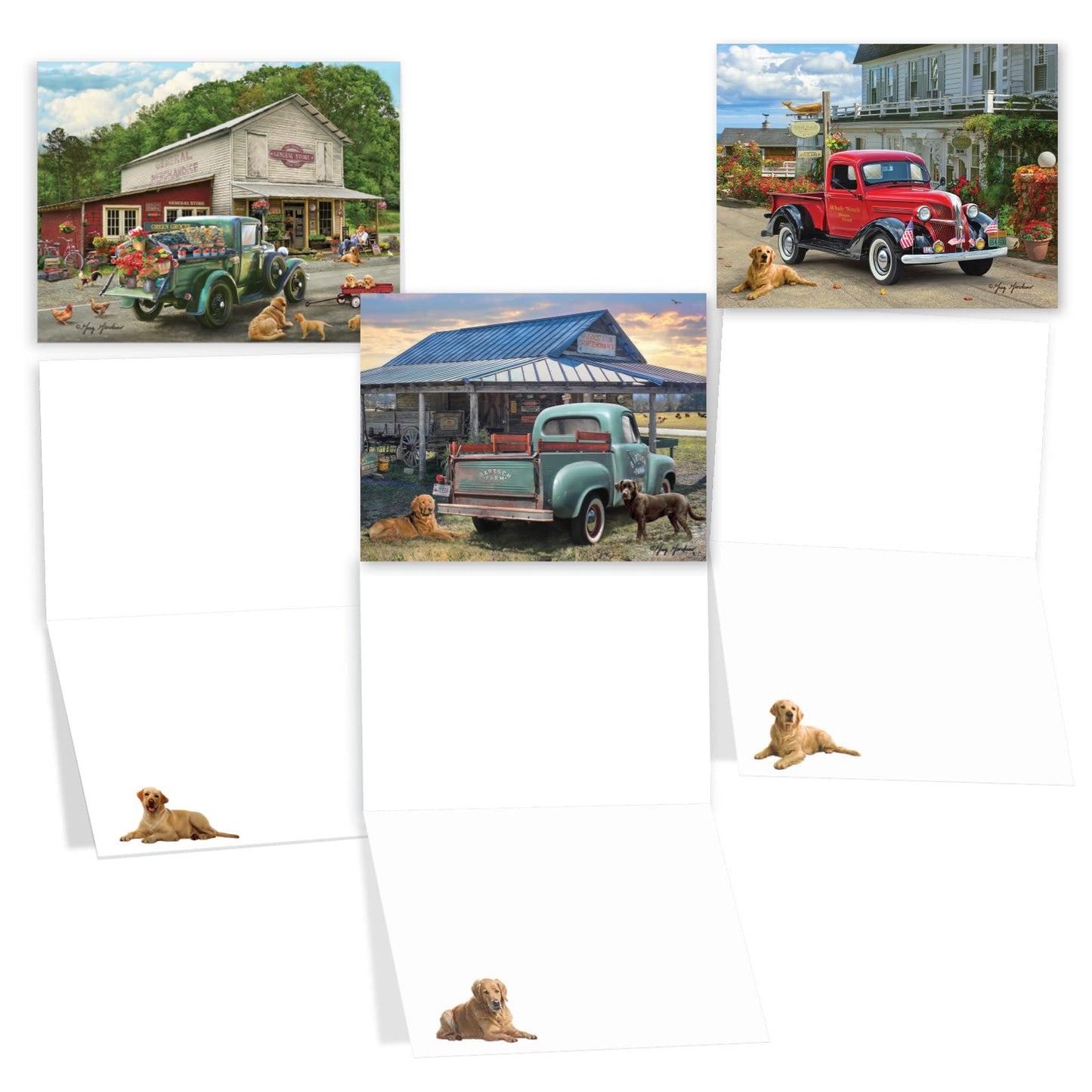 The Best Card Company 20 Assorted Blank Americana Dog and Pickup Cars Notes Bulk Box Set 4 x 5.12 Inch with Envelopes (10 Designs, 2 Each) Labrador, Country, Farm Trucks and Labs AM10203OCB-B2x10