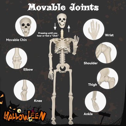 2 Pack 36" Skeleton Halloween Decorations,3Ft Plastic Posable Skeleton with Movable Joints,with 20 Spiders & Spider Webs for Halloween Party Decorations,Yard Haunted House Props Indoor Outdoor Decor