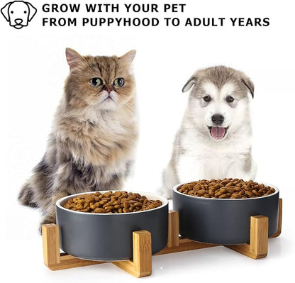 Y YHY Ceramic Pet Feeder, 24oz Dog & Cat Bowls with Wooden Stand, Modern Double Bowls Set - Dishwasher Safe