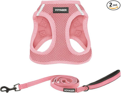 Best Pet Supplies Voyager Step-in Air All Weather Mesh Harness and Reflective Dog 5ft Leash Combo with Neoprene Handle, for Small, Medium and Large Breed Puppies - Pink, XX-Small