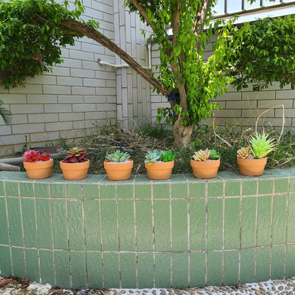 Yishang 4.4 Inch Shallow Terracotta Plant Pots,Ceramic Clay Cactus/succlent Container with Drain Hole,Small unglazed Planter for Indoor/Outdoor Plants, Crafts