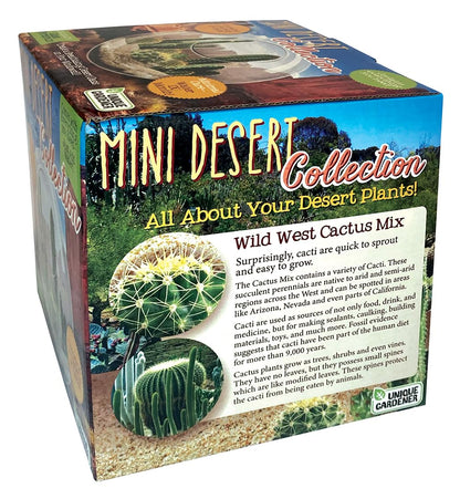 Cactus Succulent Glass Terrarium Starter Kit from Unique Gardener - Grow Your Own Indoor Desert Terrariums - Includes Live Cacti Plants and Easy Setup with Complete Terrarium Supplies