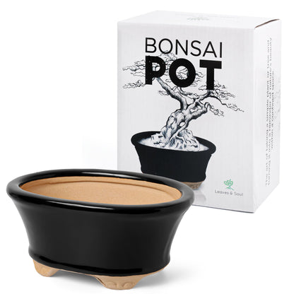 Glazed Ceramic Bonsai Pot | Decorative Planter for Dwarf Trees, Succulents, Small Plants | Small Container for Indoor and Outdoor Gardens, Table Centerpieces and Windowsill Décor | Black Oval