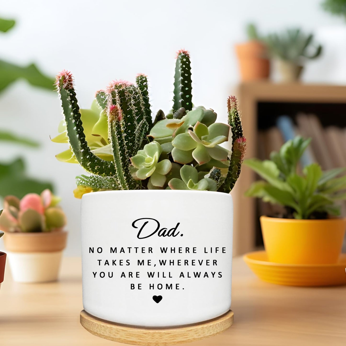 Arosedmo Succulent Planter Pot for Dad - Cute 3 Inch Plant Dad Gift from Daughter or Son with Bamboo Tray, Best Fathers Day Birthday Gardening Gifts for Dad, Grandpa, Husband