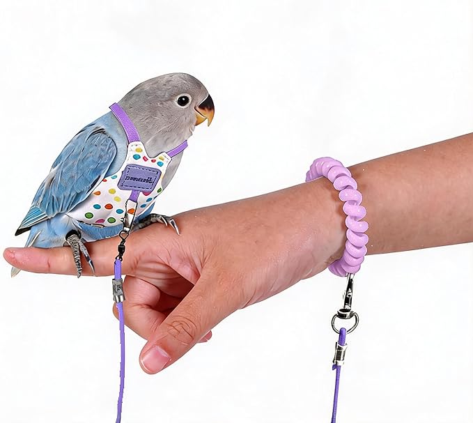 Bird Harness Leash Set Adjustable Vest Anti-Lost Wrist Strap for Parakeet Cockatiel Conure Lovebird (Purple, Cockatiel 6 * 10.5cm/5g)