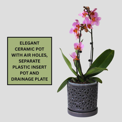 DESQUIGGLE Gray Large Ceramic Orchid Pot with Holes, 6 Inches Wide, for Indoors or Outdoors with Woven String Cut Out Design, Orchid Planters, Orchid Gifts