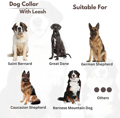 Heavy Duty Dog Collar and Leash Set for Large Dogs - Adjustable 21" Leather Nylon Collar with Durable 50" Leash, Metal Buckle & Handle - Training, Walking, Outdoor Pet Harness Combo for Big Breeds