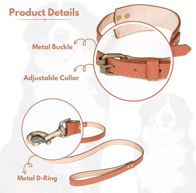 Lightnpro 21" Adjustable Tan Leather Dog Collar & Leash Set - Durable Soft Leather Collar with Leash - Comfortable, Heavy-Duty Walking & Training Gear for Large Breeds