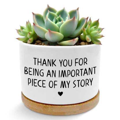 ROXMART Thank You Gifts Plant Pots, Appreciation Gifts for Women Succulent Planters, Thank You for Being Piece of My Story Ceramic Plant Flower Pots for Home Office Desk Table Shelf(No Plants)