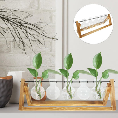 NIYANGLE Glass Propagation Station Set with 5 Small Glass Vases and Wooden Stand for Hydroponic Plant Terrariums, Tabletop Flower Vases for Home Décor and Indoor Gardening