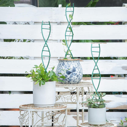 GOOOXIM Indoor Plant Trellis - DNA Spiral Design Metal Trellis for Potted Plants, Stylish Climbing Support for Small Houseplants, Durable & Easy to Install Garden Upgrade for Vining Plants