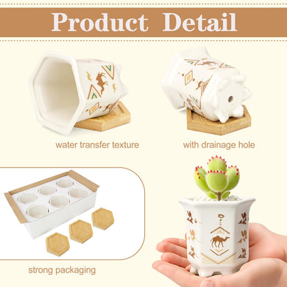 Succulent Pots 6 Pack, Small 3.3 Inch Cactus Pots with Drainage and Bamboo Tray, Ceramic Plant Pots for Succulents, Small Planters for Indoor Plants, Mini Flower Pots