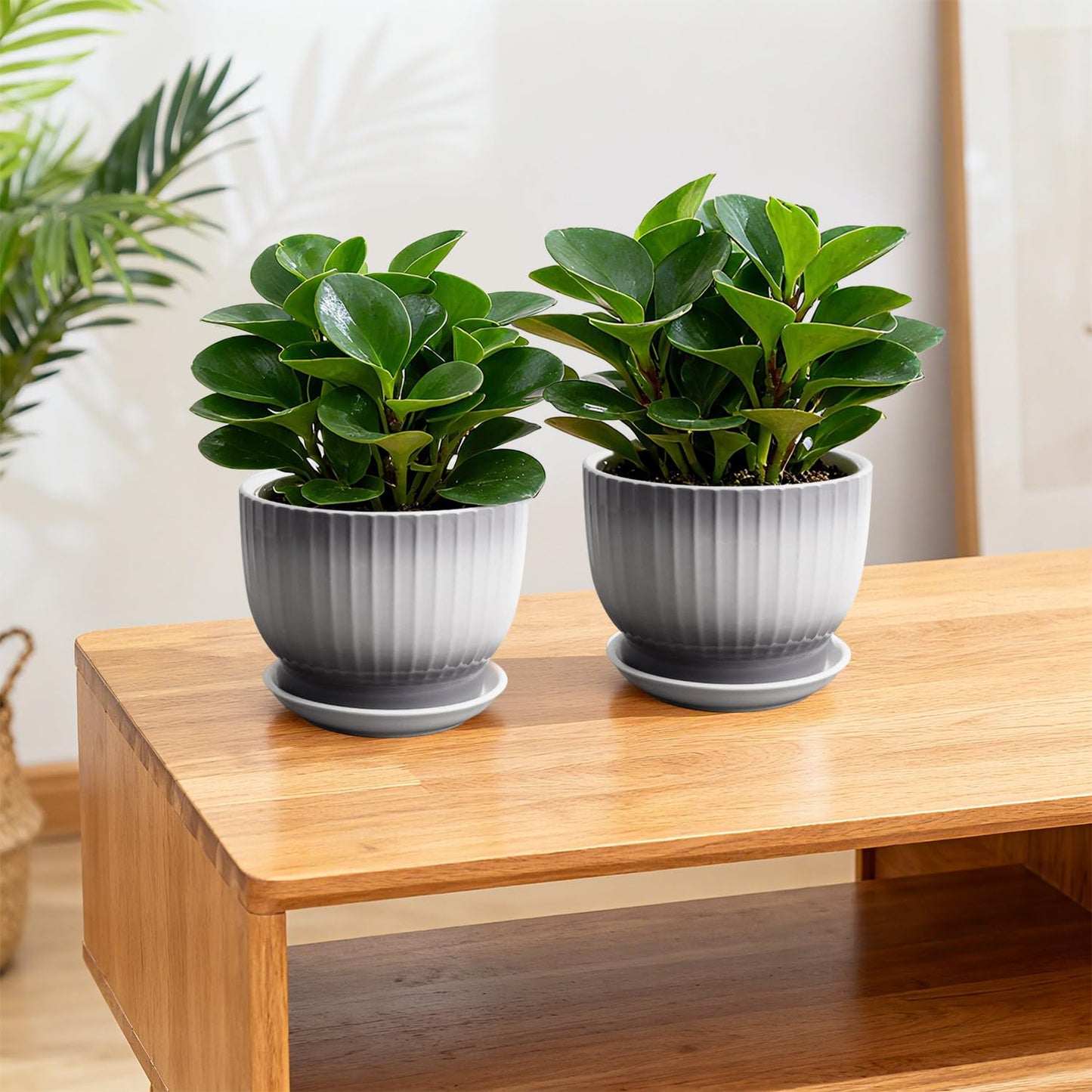 YUFDA Ceramic Plant Pots,6.7 Inch,Set of 2,Planters with Drainage Hole and Saucer,Flower pots for Indoor Plants,Modern Design(Gray+White)