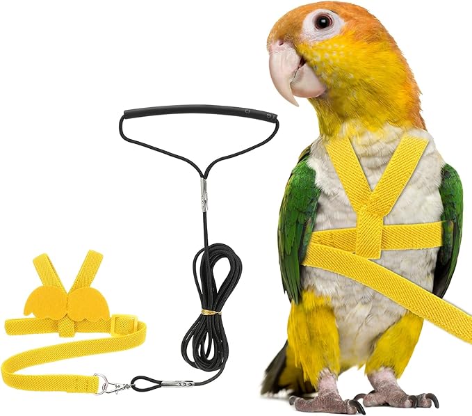 Bird Harness Leash, Adjustable Pet Parrot Bird Harness and Leash Lightweight Anti-Bite Flight Training Rope with Cute Wing, (Yellow, S), Intended for Parrots/Pigeons/Budgies
