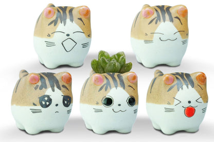 VanEnjoy Original Design Handmade Mini Cute Cartoon Ceramic Succulent Pots Planters With Drainage Hole - Cat Gifts for Cat Lovers Office - Pack of 5