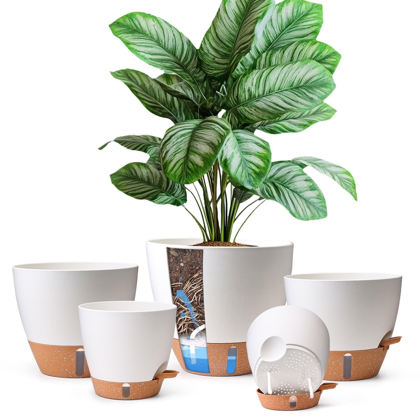 T4U 5 Pack Self Watering Pots (6"+8"+9"+10"+12") - Water Level Indicator & Deep Reservoir, Mess-Free Planters for Busy People, Beginners & Gardeners, Fit Most Plants, Indoor Outdoor Use (White)
