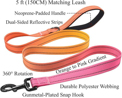 Dog Collar Leash Set, Gradient Color, with Safety Reflective Strips, 5 ft Matching Leash, Neoprene Padded Handle, Adjustable 4 Sizes for Small Medium Large Dogs.(XS, Orange Pink)
