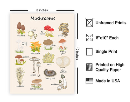 Poster Master Mushroom Print - Botanical Poster - Learning Materials Art - Educational Wall Design - Gift for Students & Teacher - Decor for Classroom, Library or Nursery - 8x10 UNFRAMED Wall Art