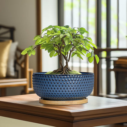 EPFamily Bonsai Pots - 8 Inch Ceramic Pots for Succulent Plants & Bonsai Tree, Planter with Drainage Hole and Saucer, Modern Round Decorative Flower Planters, House Decor, Gifts for Women Man, Blue