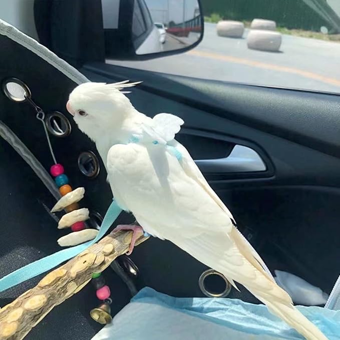 Pet Parrot Bird Harness Leash Adjustable Bird Flying Harness Traction Rope with Cute for Parrots Budgerigar Lovebird Cockatiel Mynah Outdoor Training Toy (Cockatiel/Green-cheeked Conure,White)