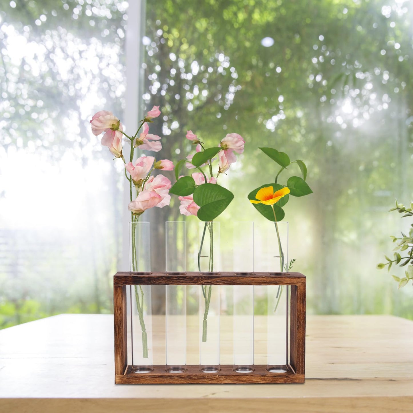 MUCKLILY Glass Test Tube Vase Hydroponic Planter Large Plant Terrarium Container for Home Décor and Water Planting