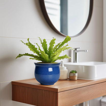Teagas 6 Inch Self Watering Pots, Ceramic African Violet Planter with Absorbent Inner Pot, Round Flower Pot for Indoor Plants, Ceramic Pots for Plants, Room Home Decor, Plant Lover Gifts, Blue