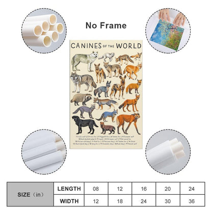 CYPGTBCK Canines Poster - Wolf Dog Fox Animal Knowledge Art - Modern Family Bedroom Decor - 16x24inch (40x60cm)