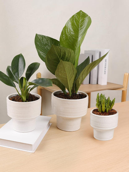 INGOFIN Ceramic Planter Pot Set of 3, 4/5/6 Inch Indoor Plant Decorative Cachepot for Pothos & Succulents, No Drainage Hole, Modern Tabletop Desk Display Pot for Home Decor, Pockmarks White